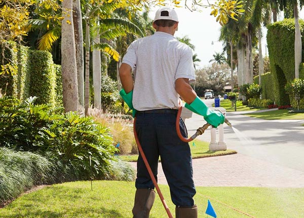 About Mission KS Pest Control